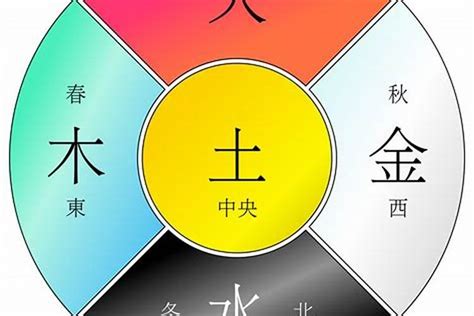 乙巳年五行|乙巳年五行属性解析：火与木的交融